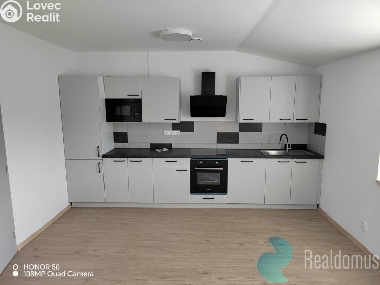 Rent apartment 3+KK Trhové Sviny, Pekárenská 1330 č. 1