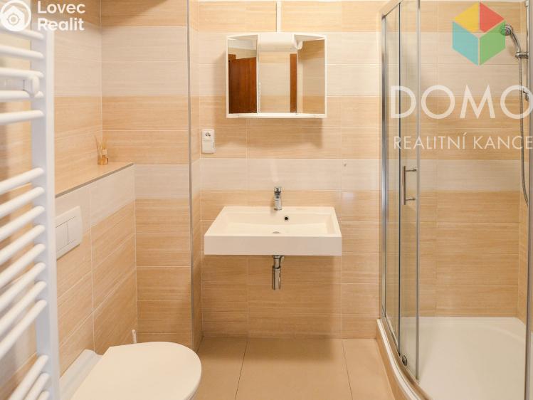 Оренда квартири 1+KK Beroun, Svatopluka Čecha 201/1 č. 4