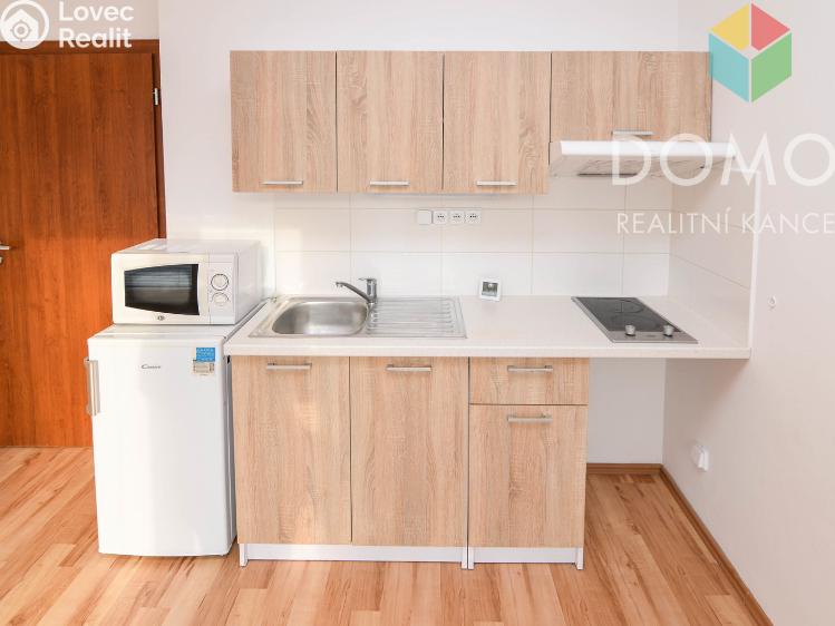 Pronájem bytu 1+KK Beroun, Svatopluka Čecha 201/1 č. 5