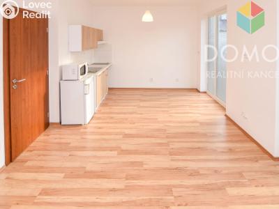 Оренда квартири 1+KK Beroun, Svatopluka Čecha č. 3