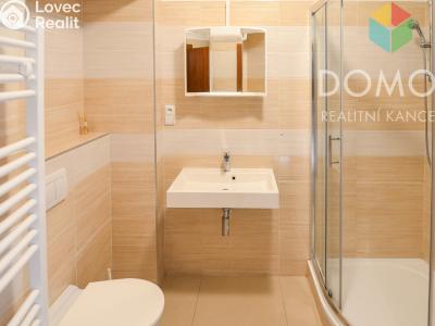 Оренда квартири 1+KK Beroun, Svatopluka Čecha č. 4