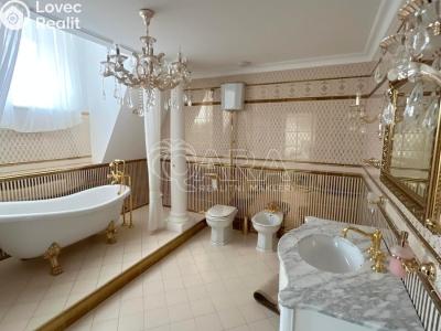 Продажа нестандартной квартиры Praha č. 6