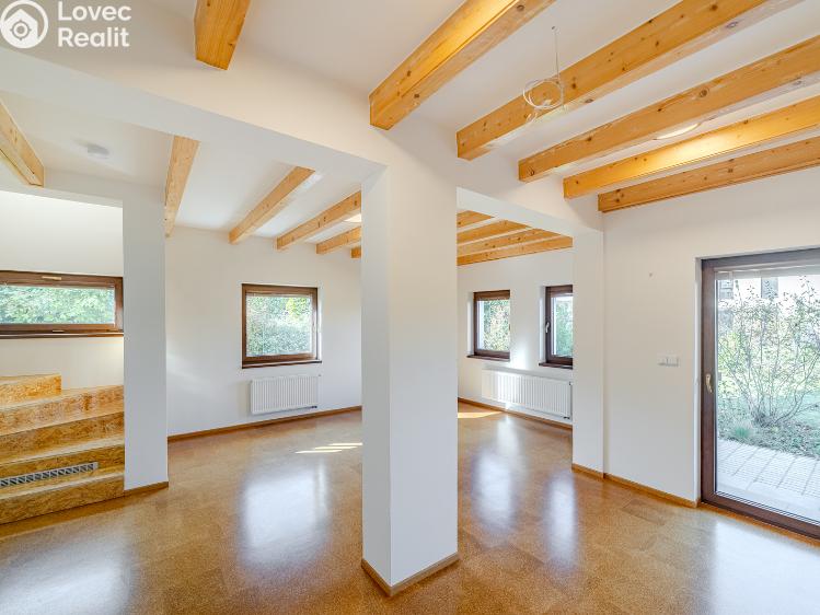 Pronájem rodinného domu Brandýs nad Labem-Stará Boleslav, Dříská 1883 č. 2