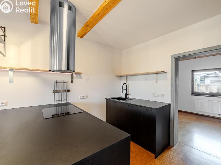 Pronájem rodinného domu Brandýs nad Labem-Stará Boleslav, Dříská 1883 č. 5