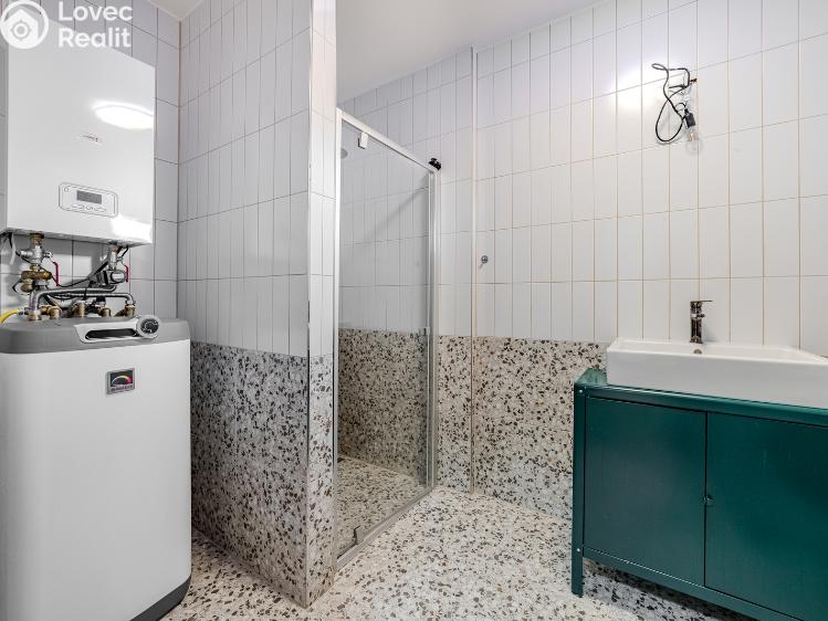 Pronájem rodinného domu Brandýs nad Labem-Stará Boleslav, Dříská 1883 č. 8