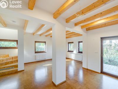 Pronájem rodinného domu Brandýs nad Labem-Stará Boleslav, Dříská 1883 č. 2