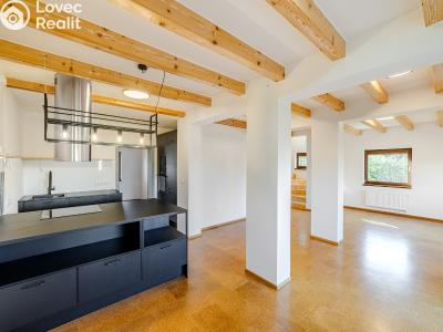 Pronájem rodinného domu Brandýs nad Labem-Stará Boleslav, Dříská 1883 č. 4