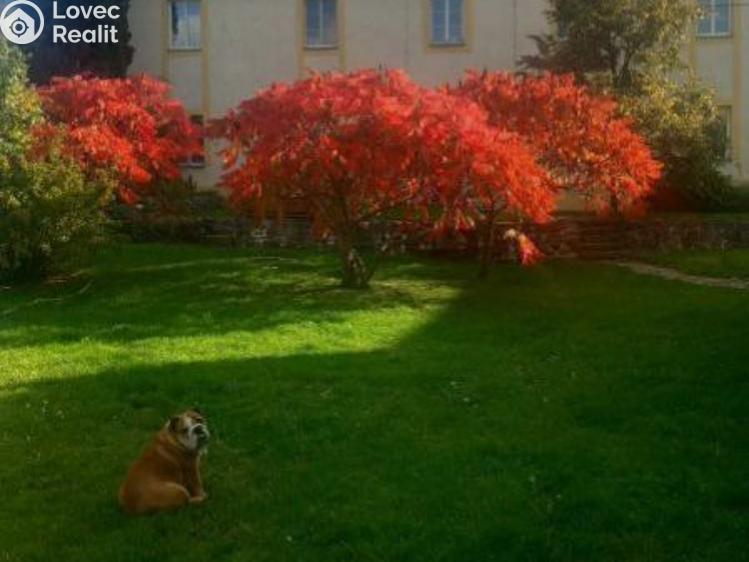 Pronájem bytu 2+1 Svrkyně č. 1