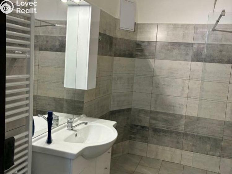 Pronájem bytu 2+1 Svrkyně č. 3