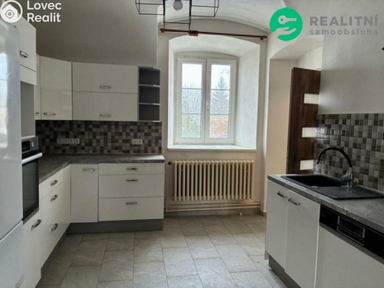 Pronájem bytu 2+1 Svrkyně č. 11