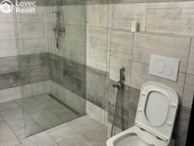 Pronájem bytu 2+1 Svrkyně č. 4