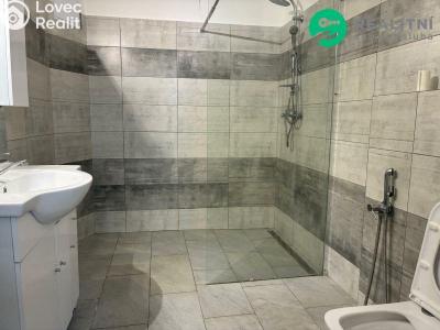 Pronájem bytu 2+1 Svrkyně č. 5