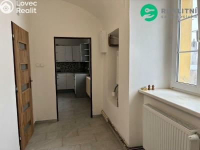 Pronájem bytu 2+1 Svrkyně č. 6