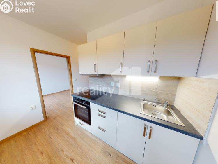 Pronájem bytu 1+1 Světlá nad Sázavou č. 1