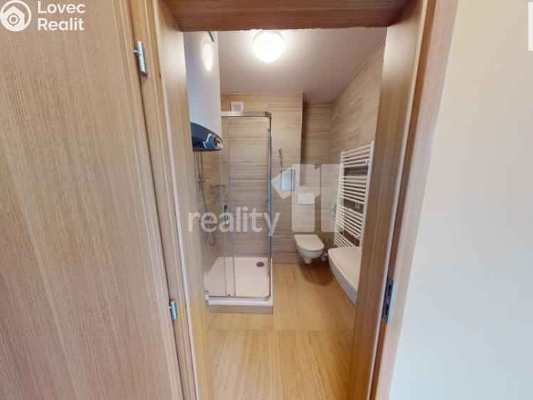 Pronájem bytu 1+1 Světlá nad Sázavou č. 9