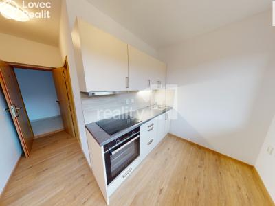 Pronájem bytu 1+1 Světlá nad Sázavou č. 5