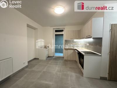 Pronájem bytu 2+1 Ústí nad Labem, Palachova č. 1