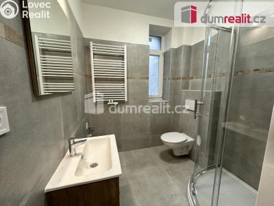 Pronájem bytu 2+1 Ústí nad Labem, Palachova č. 2