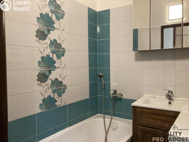 Pronájem bytu 3+1 Znojmo, Riegrova č. 12