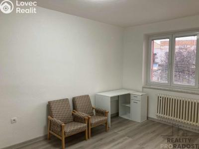 Pronájem bytu 3+1 Znojmo, Riegrova č. 6