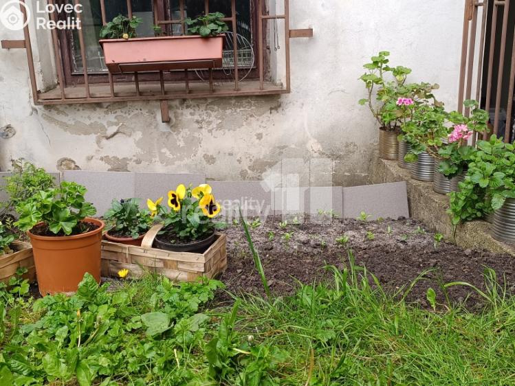 Pronájem bytu 1+KK Česká Lípa, Jindřicha z Lipé č. 11