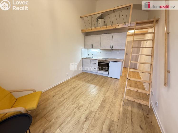 Pronájem bytu 1+1 Praha 5, Na Valentince č. 1