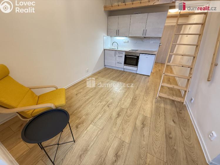 Pronájem bytu 1+1 Praha 5, Na Valentince č. 4