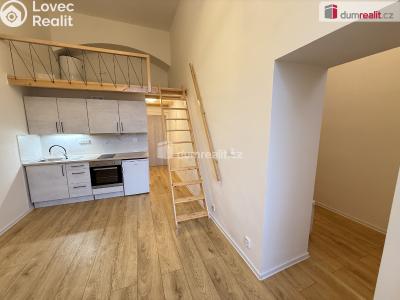 Pronájem bytu 1+1 Praha 5, Na Valentince č. 2