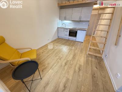 Pronájem bytu 1+1 Praha 5, Na Valentince č. 4