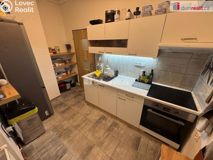 Pronájem bytu 2+1 Děčín, Kamenická č. 1