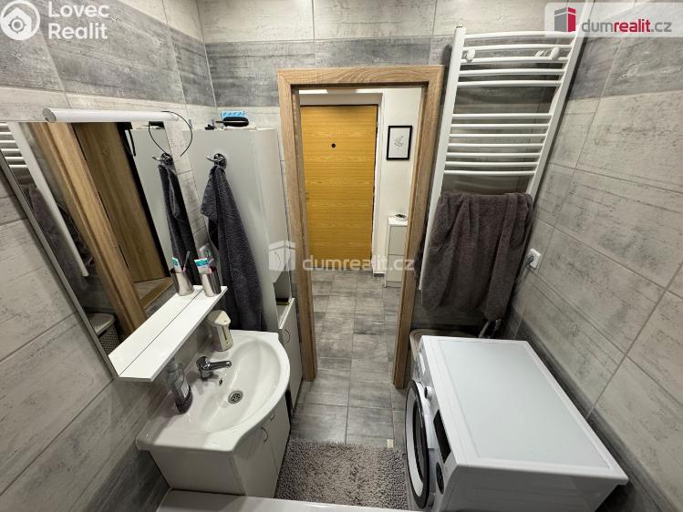 Pronájem bytu 2+1 Děčín, Kamenická č. 8