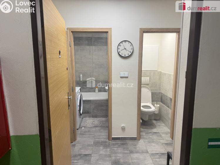 Pronájem bytu 2+1 Děčín, Kamenická č. 10