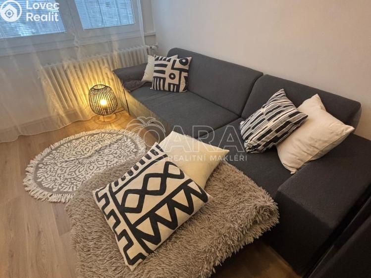 Rent apartment 2+KK Praha, Anny Drabíkové 534/3 č. 12