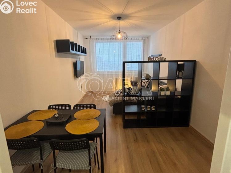 Rent apartment 2+KK Praha, Anny Drabíkové 534/3 č. 13