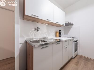 Оренда квартири 2+KK Praha, Anny Drabíkové č. 2