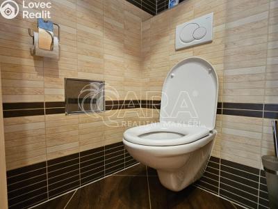 Pronájem bytu 3+KK Trutnov, Blanická 198 č. 4