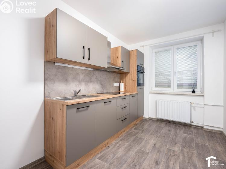 Rent apartment 2+1 Pardubice, Josefa Ressla č. 2