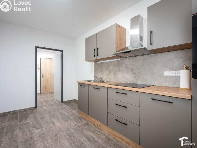 Rent apartment 2+1 Pardubice, Josefa Ressla č. 3