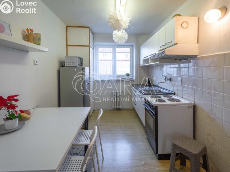 Rent apartment 2+1 Mělník, Čechova 438/22 č. 1
