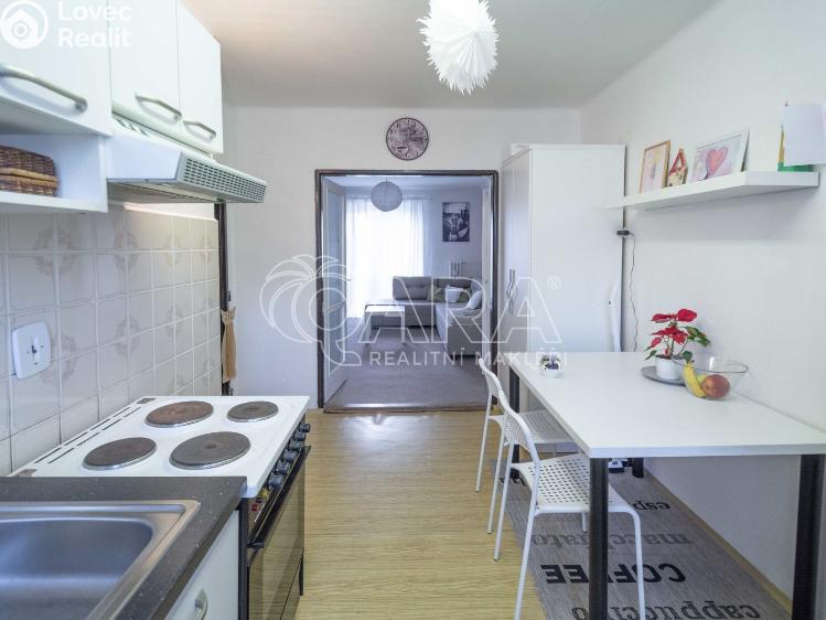Rent apartment 2+1 Mělník, Čechova 438/22 č. 5