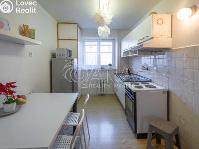 Оренда квартири 2+1 Mělník, Čechova č. 1