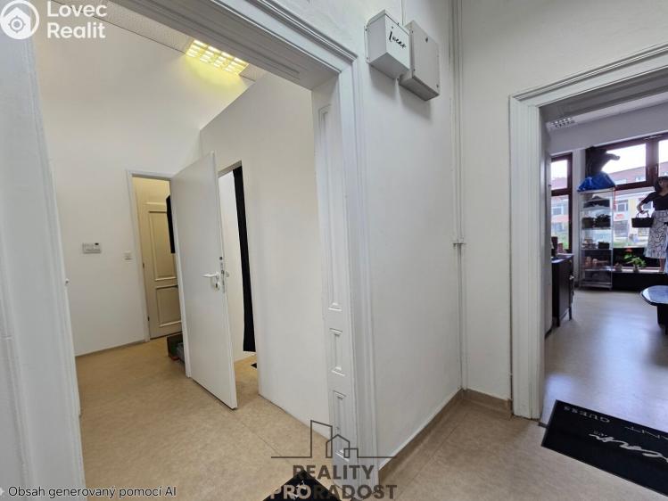 Pronájem obchodního prostoru Hodonín, Štefánikova č. 4