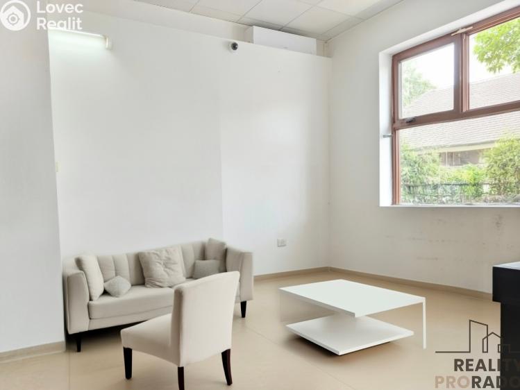 Pronájem obchodního prostoru Hodonín, Štefánikova č. 3