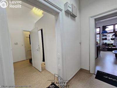 Pronájem obchodního prostoru Hodonín, Štefánikova č. 4