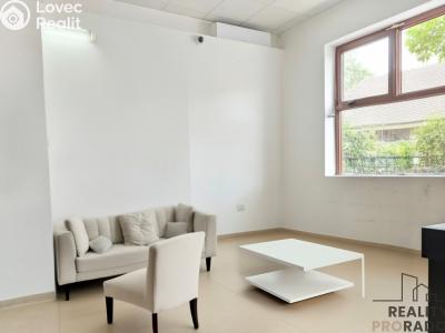 Pronájem obchodního prostoru Hodonín, Štefánikova č. 3