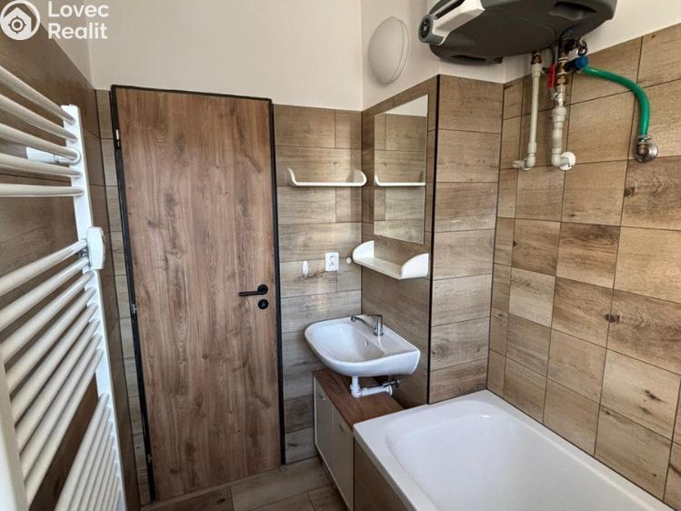 Pronájem bytu 1+1 Slatinice č. 5