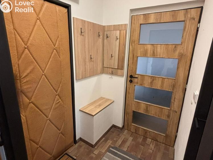 Pronájem bytu 1+1 Slatinice č. 6