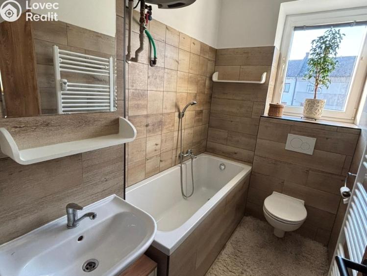 Pronájem bytu 1+1 Slatinice č. 7