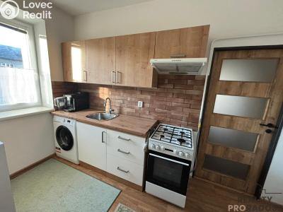 Pronájem bytu 1+1 Slatinice č. 1
