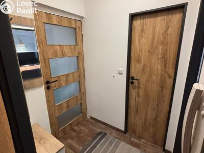 Pronájem bytu 1+1 Slatinice č. 3